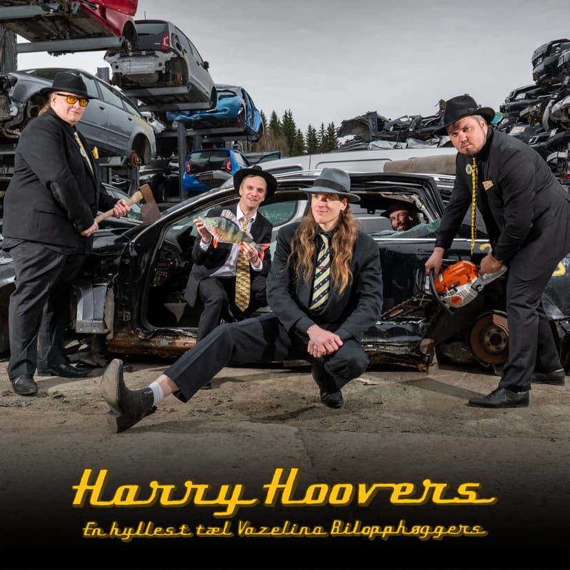 Harry Hoovers
