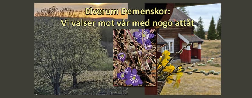 ELVERUM DEMENSKOR: VI VALSER MOT VÅR MED NOGO ATTÅT