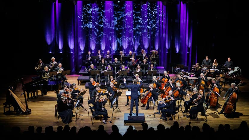 Høstkonsert med Hedmarken Symfoniorkester