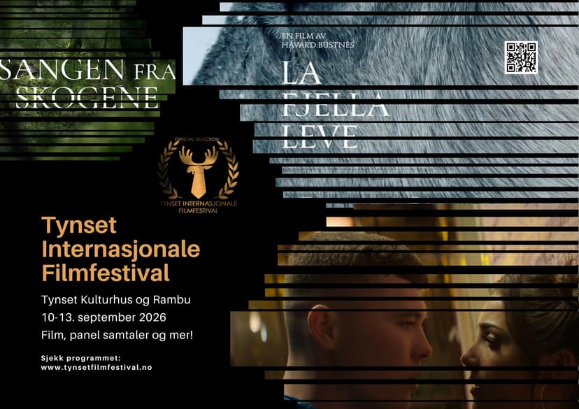 Tynset Internasjonale Filmfestival