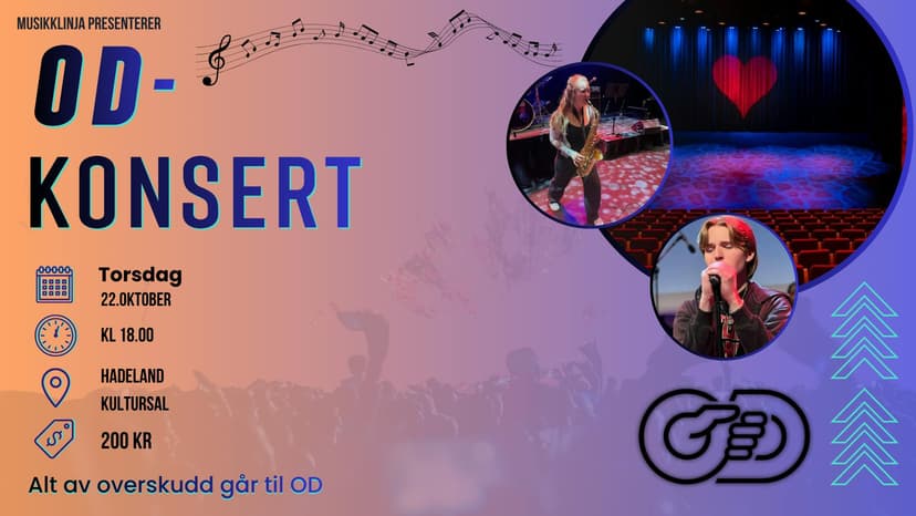 Musikklinjas Operasjon Dagsverk-konsert