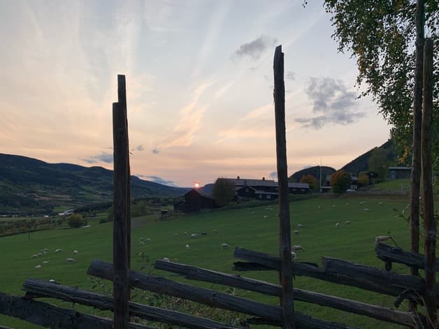 Såmmårfest med Hillbabies og VON