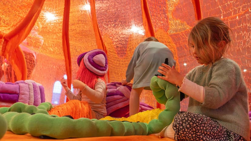 Himstregimser og andre duppeditter