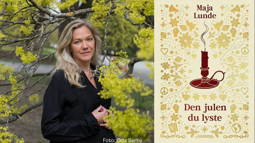 Maja Lunde: Den julen du lyste
